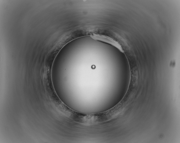 X0000090460225200707201340