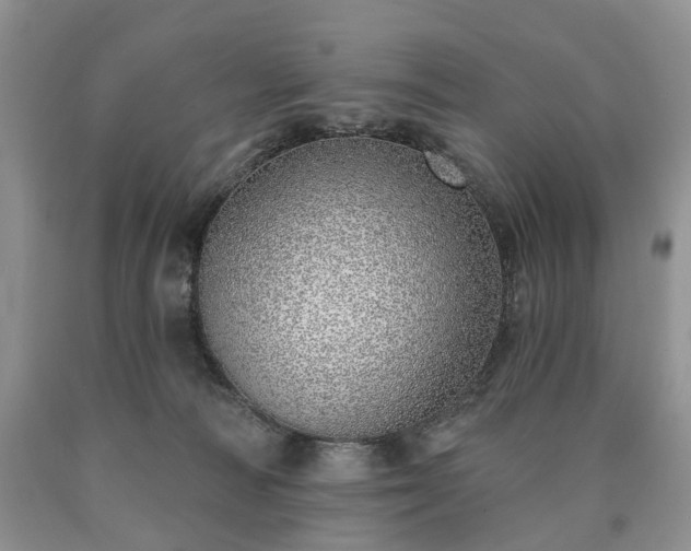 X0000090460226200707201340
