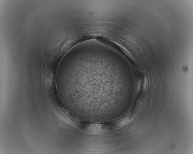 X0000090460227200707201340