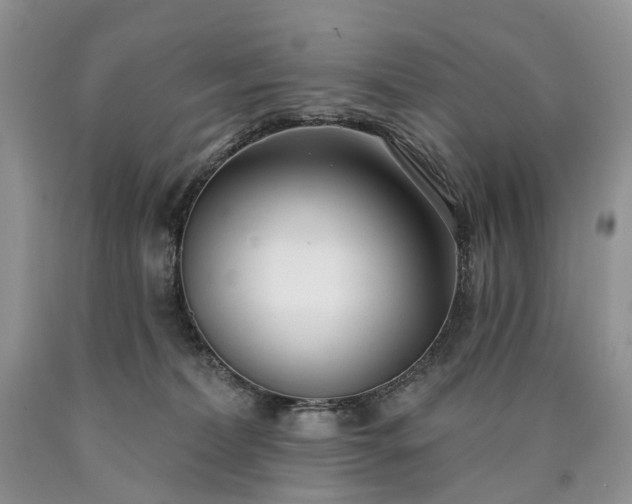 X0000090460228200707201340
