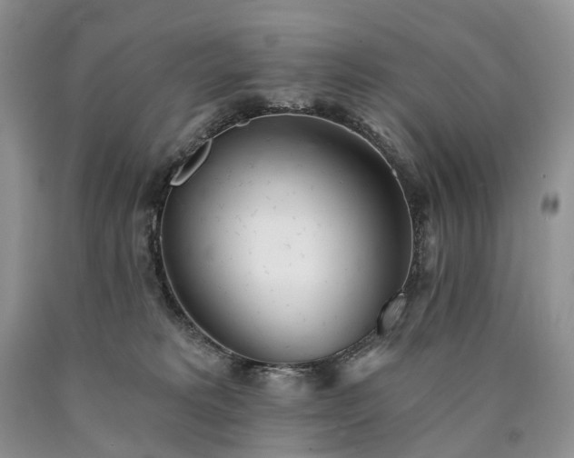 X0000090460229200707201340