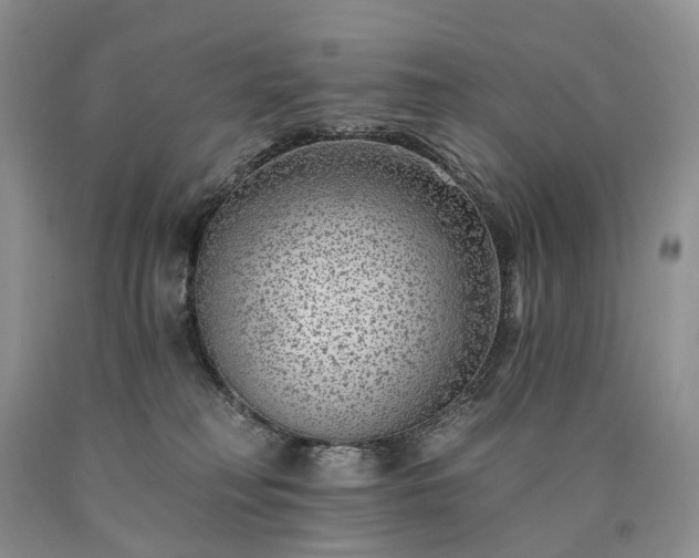 X0000090460230200707201340
