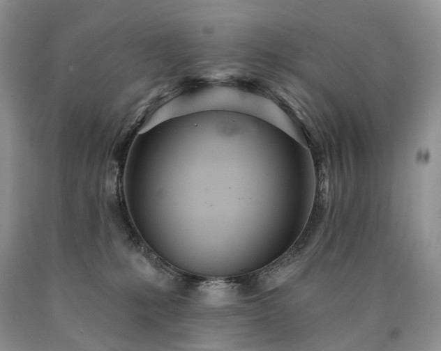X0000090460231200707201340