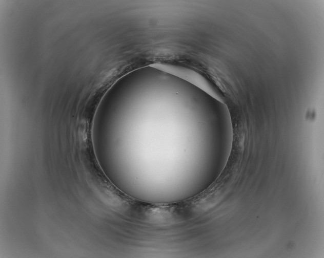 X0000090460232200707201340