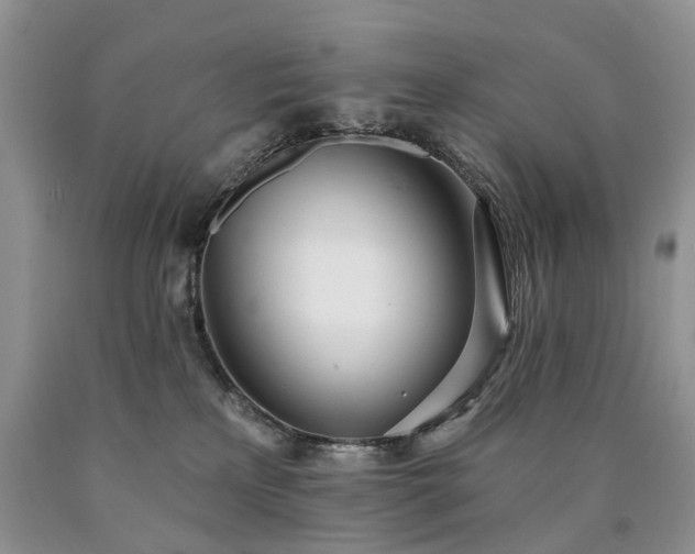 X0000090460233200707201340