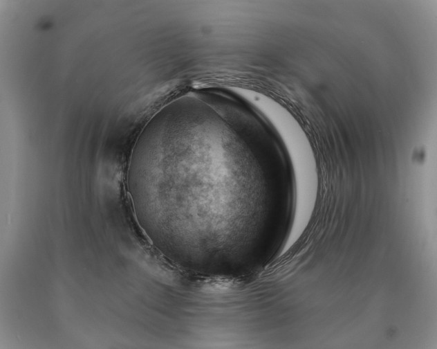 X0000090460235200707201340