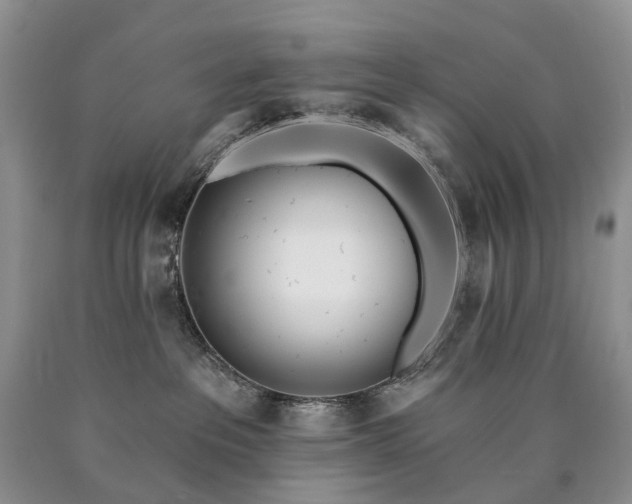 X0000090460237200707201340
