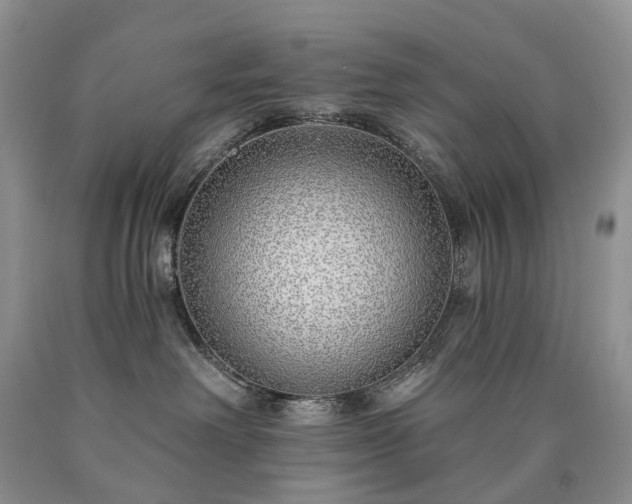 X0000090460238200707201340
