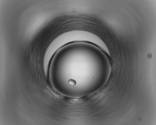 X0000090460239200707201340
