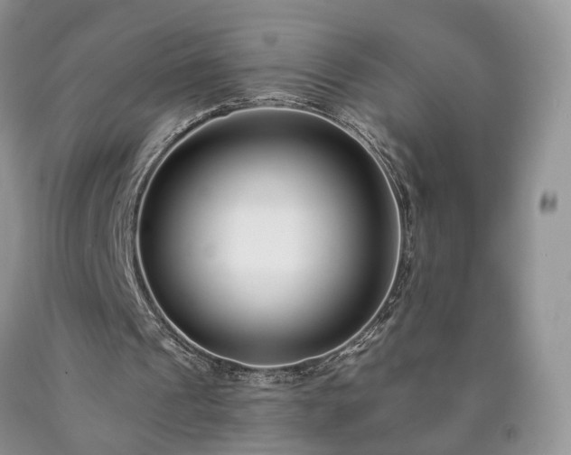 X0000090460241200707201339