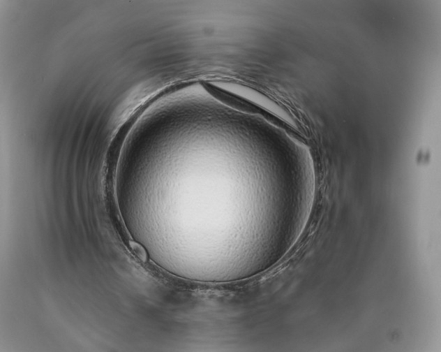 X0000090460242200707201339