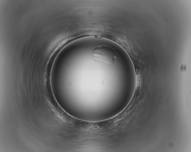 X0000090460243200707201339