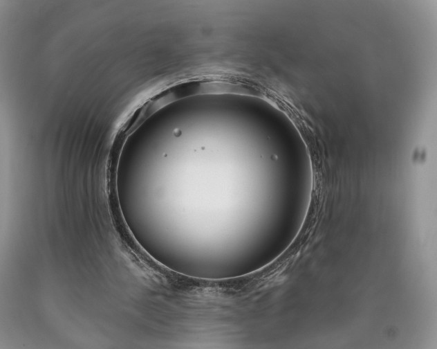 X0000090460244200707201340