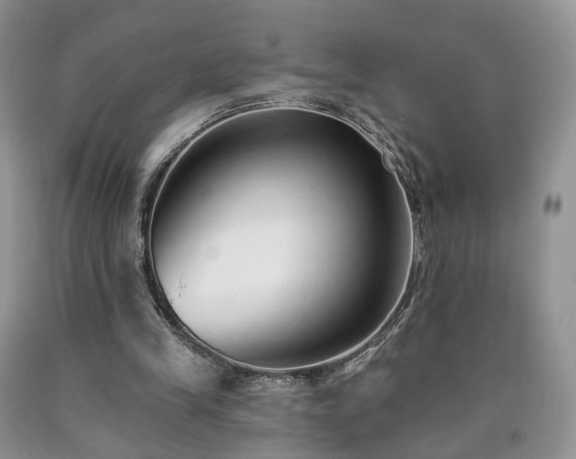 X0000090460245200707201340