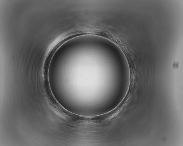 X0000090460246200707201340