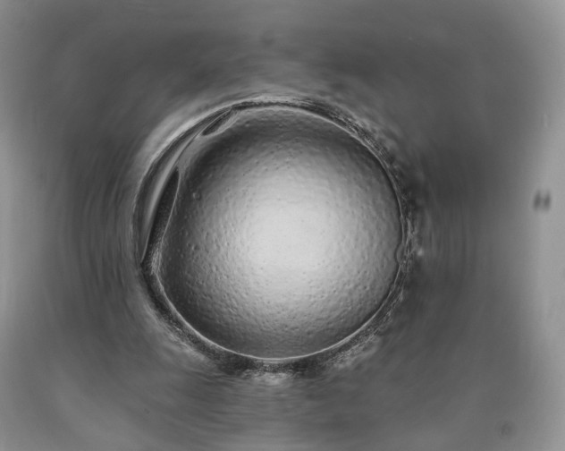 X0000090460247200707201340
