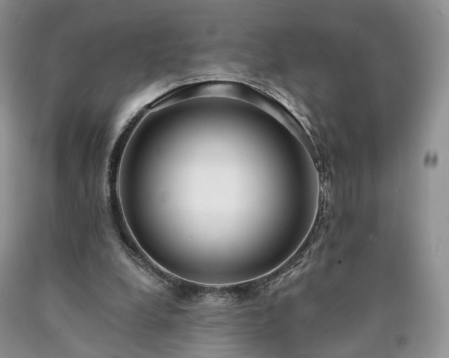 X0000090460248200707201340