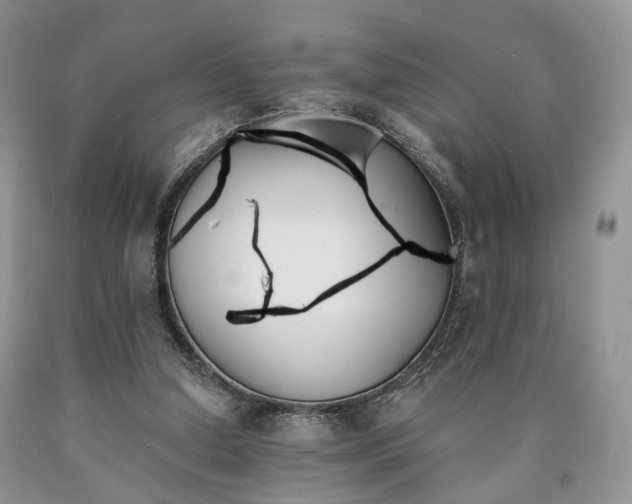 X0000090460250200707201340