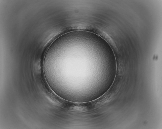X0000090460251200707201340