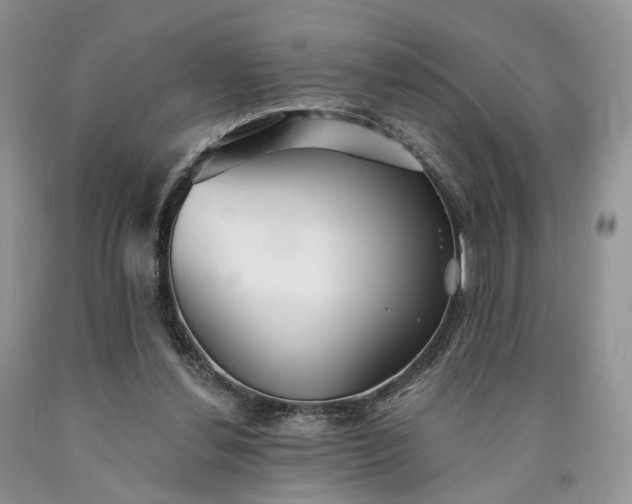 X0000090460252200707201340
