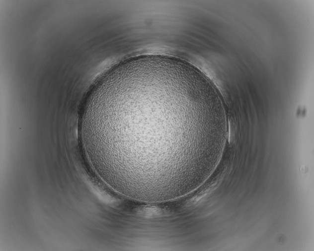 X0000090460253200707201340