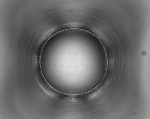 X0000090460254200707201340