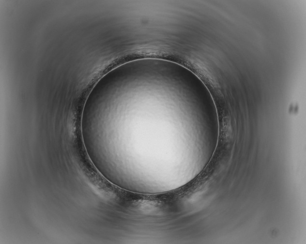 X0000090460255200707201340