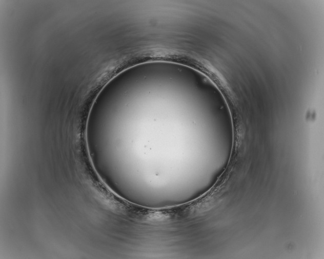 X0000090460257200707201340