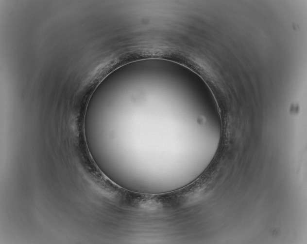 X0000090460258200707201340