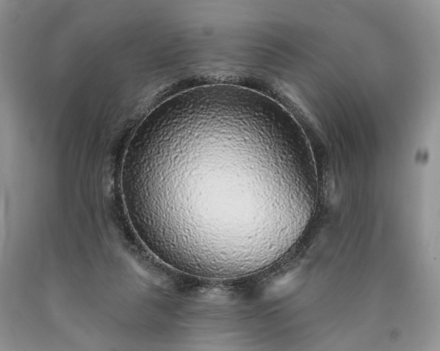 X0000090460259200707201340