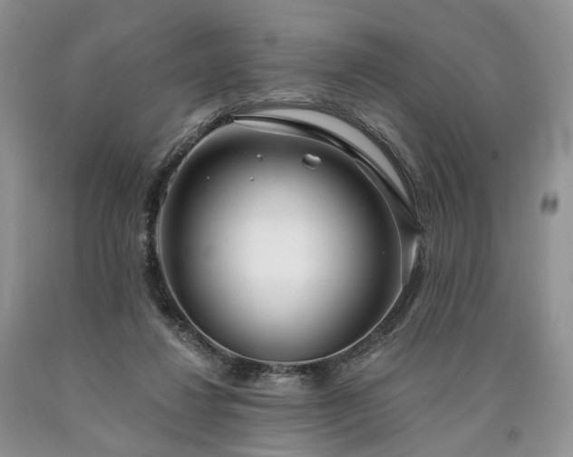 X0000090460260200707201340