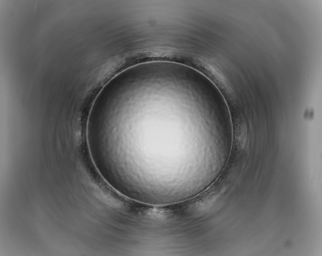 X0000090460261200707201340