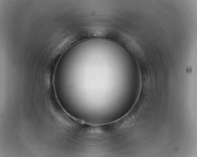 X0000090460262200707201340