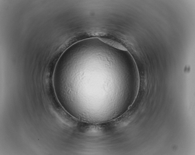 X0000090460263200707201340