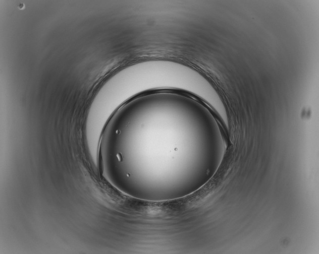 X0000090460264200707201340