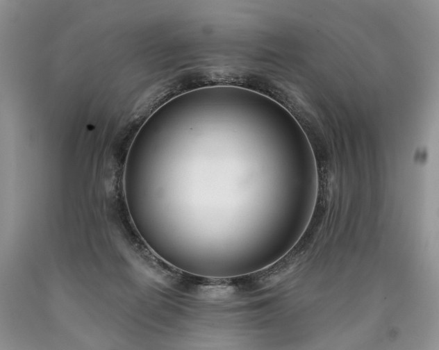 X0000090460266200707201340