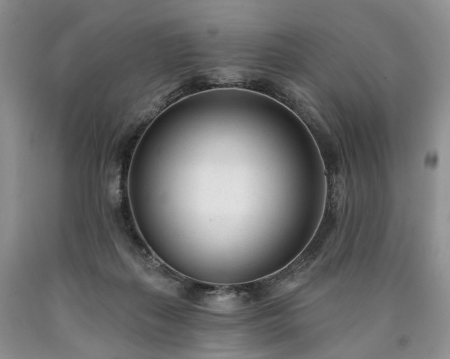 X0000090460267200707201340