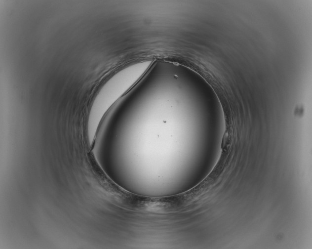 X0000090460268200707201340