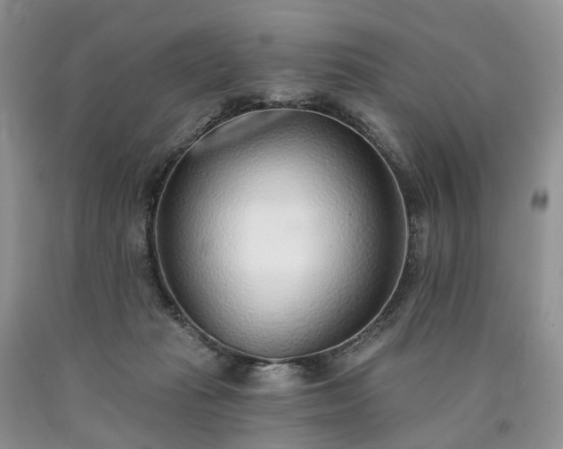 X0000090460269200707201340