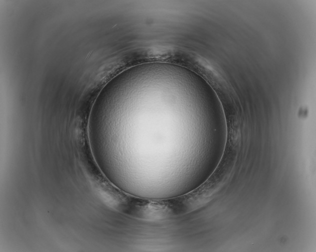X0000090460270200707201340