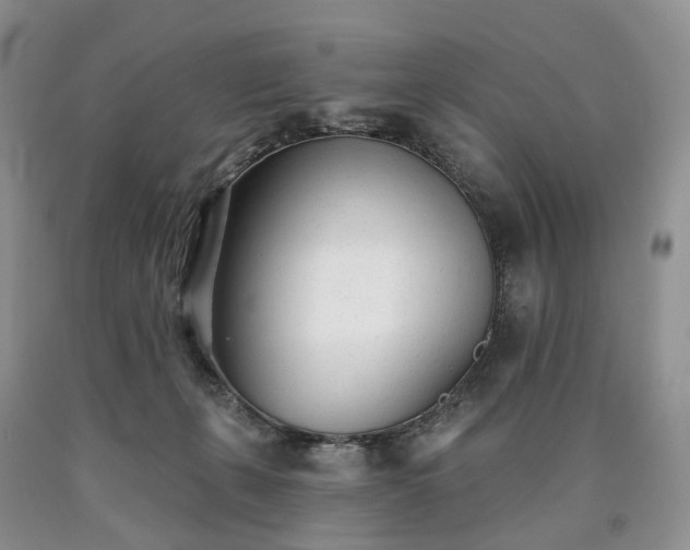 X0000090460271200707201340