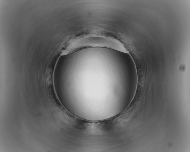 X0000090460273200707201340