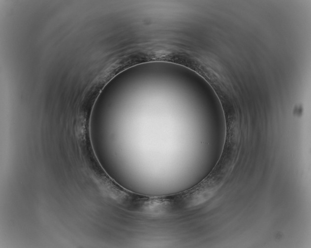 X0000090460274200707201340