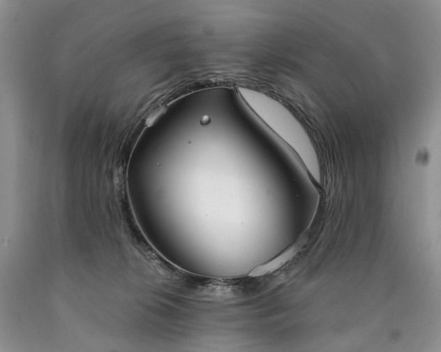 X0000090460276200707201340