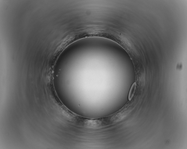 X0000090460277200707201340