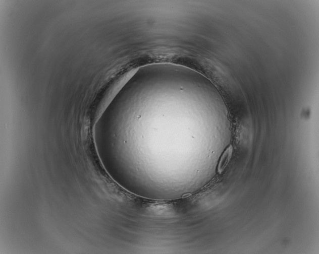 X0000090460283200707201340