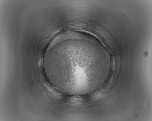 X0000090460284200707201340