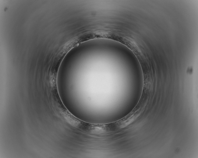 X0000090460285200707201340