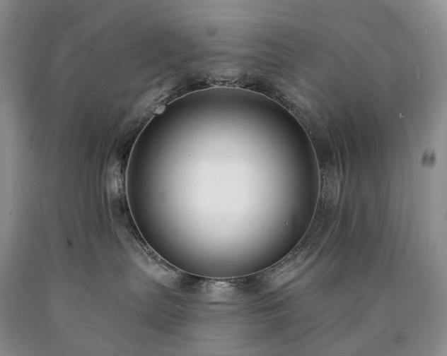 X0000090460287200707201340