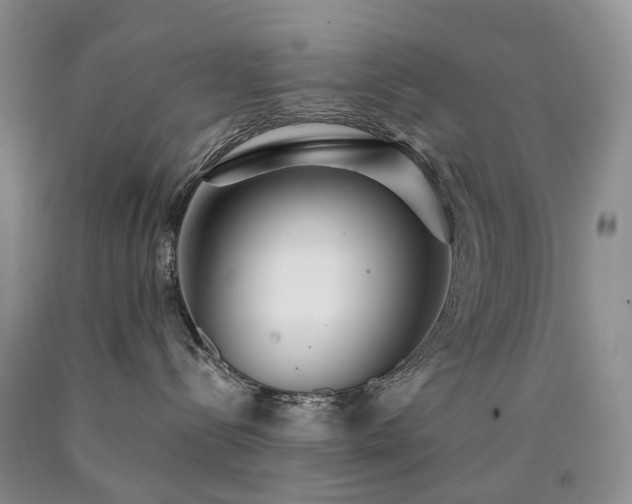 X0000090460288200707201340
